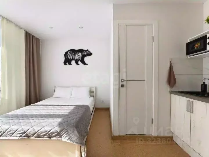 Студия Красноярский край, Красноярск ул. Весны, 7 (18.0 м) - Фото 2