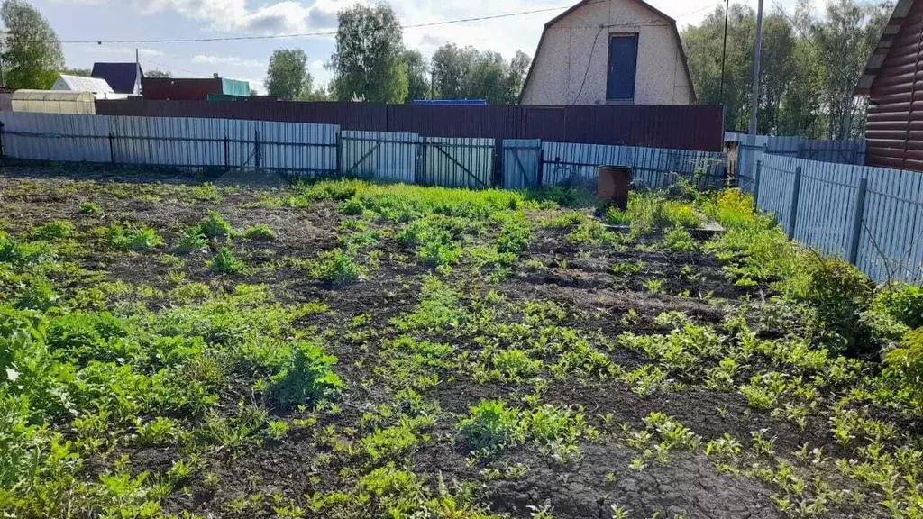 Участок 4 сот. (СНТ, ДНП) - Фото 1