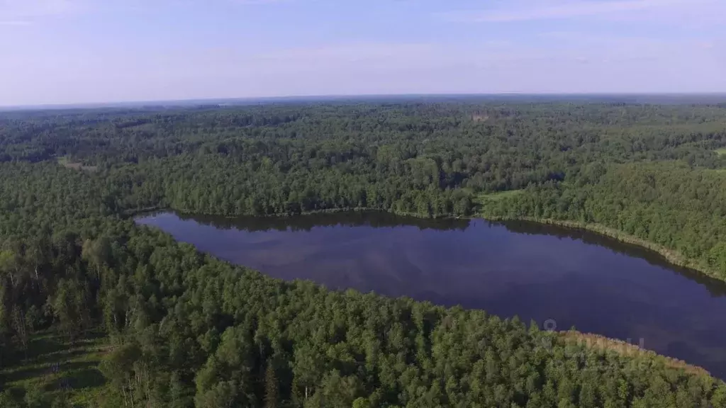 Дом в Московская область, Можайский муниципальный округ, Головино хут. ... - Фото 2