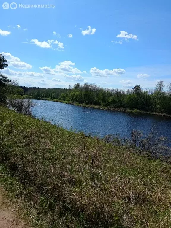 Дом в Борское сельское поселение, деревня Кривой Наволок (206 м) - Фото 0
