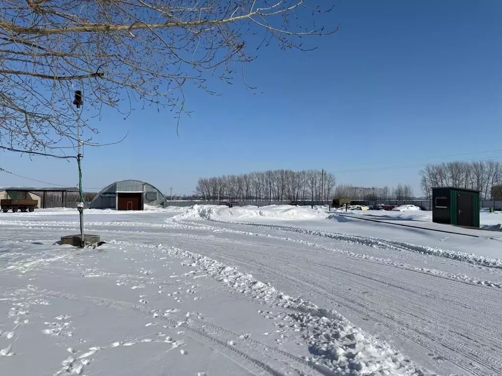 Производственное помещение в Воронежская область, пос. Верхняя Маза ... - Фото 1