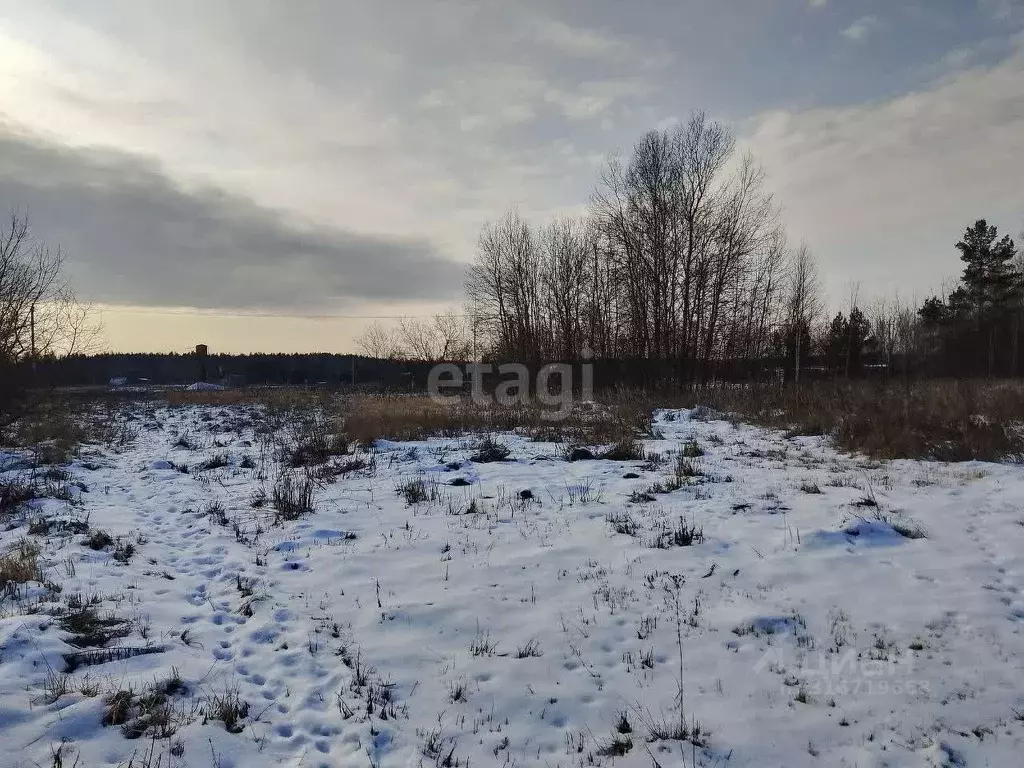 Участок в Владимирская область, Муром д. Иваньково, ул. Школьная (14.0 ... - Фото 0