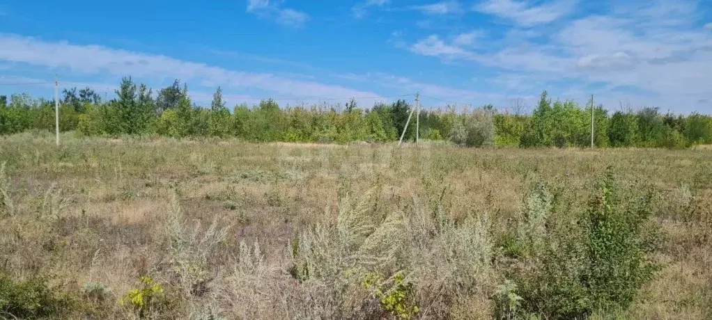 Участок в Ростовская область, Азовский район, Обильненское с/пос, пос. ... - Фото 1