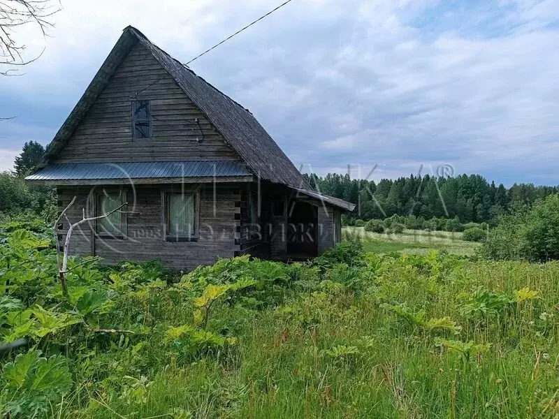 Дом в Алёховщинское сельское поселение, деревня Гонгиничи, 1 (26.7 м) - Фото 1