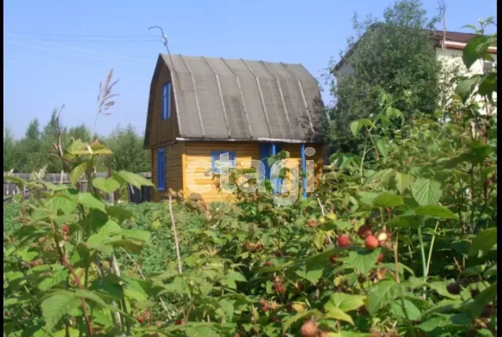 Дом в Ханты-Мансийский АО, Сургут № 46 Урожай садовое товарищество, ... - Фото 1