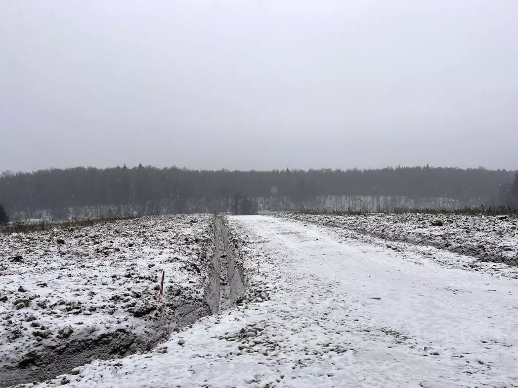 Участок в Московская область, Подольск городской округ, д. Пузиково, ... - Фото 1