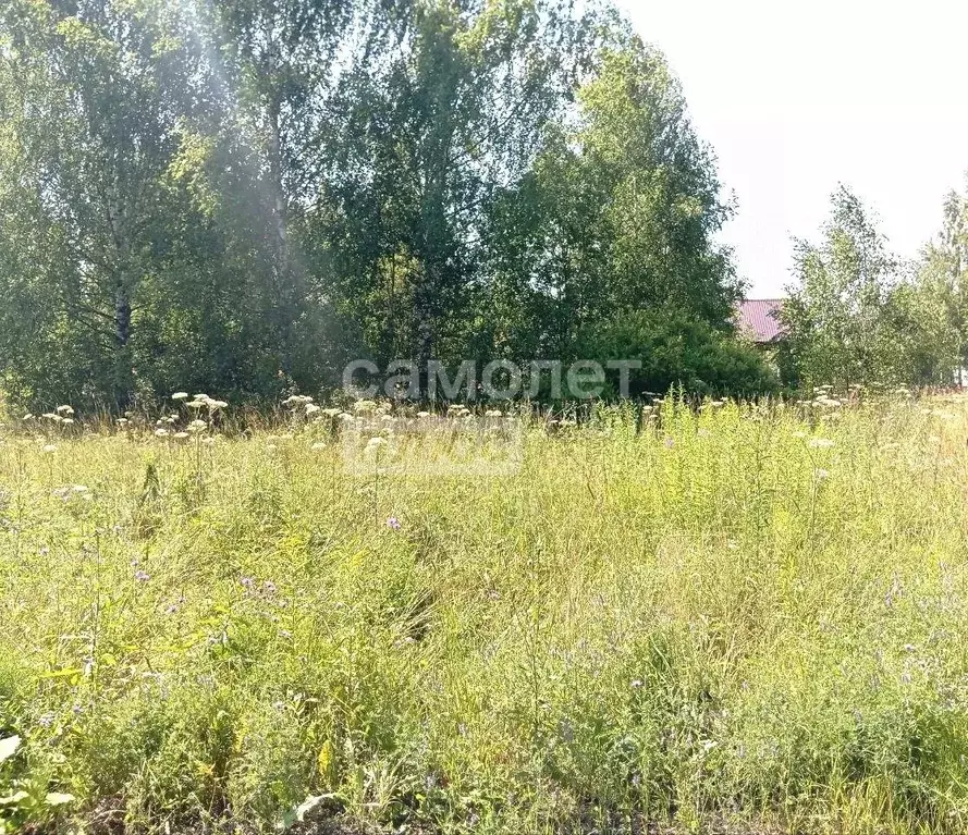 Участок в Московская область, Химки городской округ, Дачной застройки ... - Фото 2