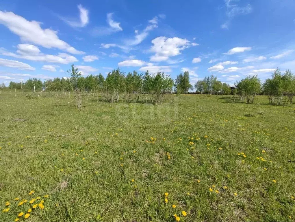 Участок в Брянская область, Брянский район, Глинищевское с/пос, с. ... - Фото 1
