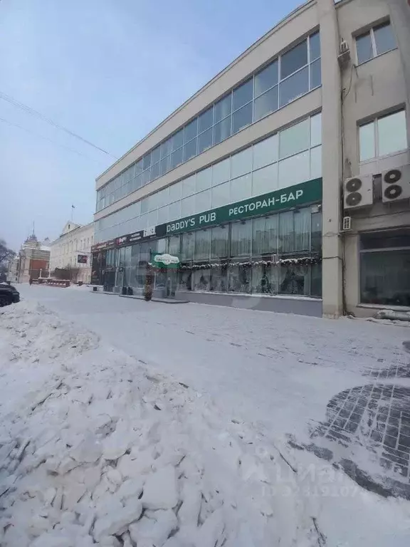 Помещение свободного назначения в Амурская область, Благовещенск ул. ... - Фото 1