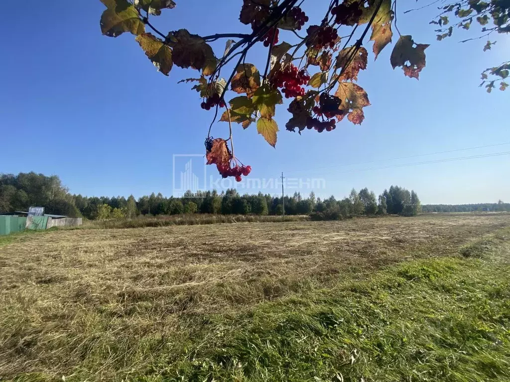 Участок в Владимирская область, Ковровский район, Малыгинское с/пос, ... - Фото 1