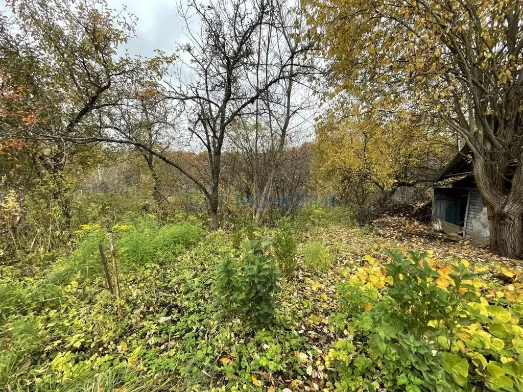 Участок в Нижегородская область, Нижний Новгород Дубрава СНТ, 41 (5.7 ... - Фото 1