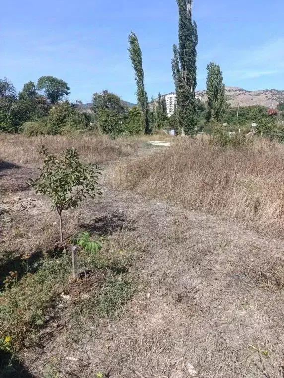 Участок в Крым, Феодосия муниципальный округ, Щебетовка пгт  (3.4 ... - Фото 2