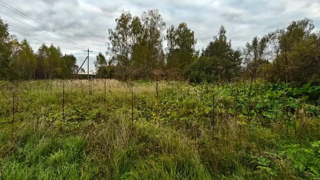 Участок в Московская область, Рузский муниципальный округ, д. Лихачево ... - Фото 1