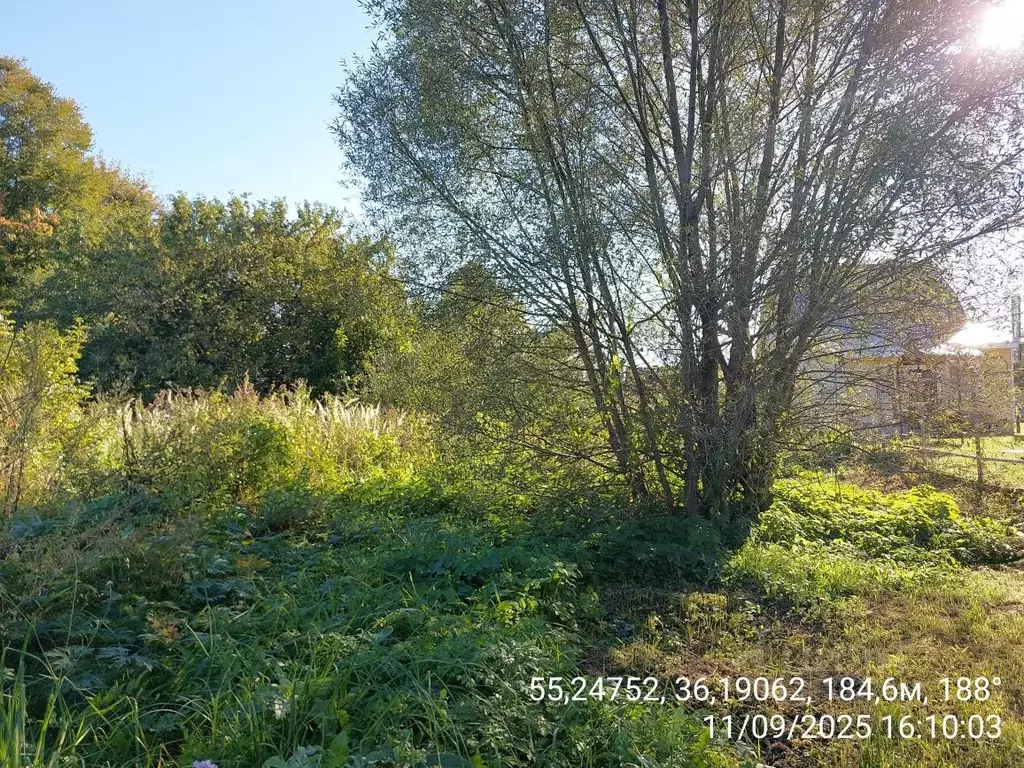 Участок в Московская область, Наро-Фоминский городской округ, Деревня ... - Фото 1