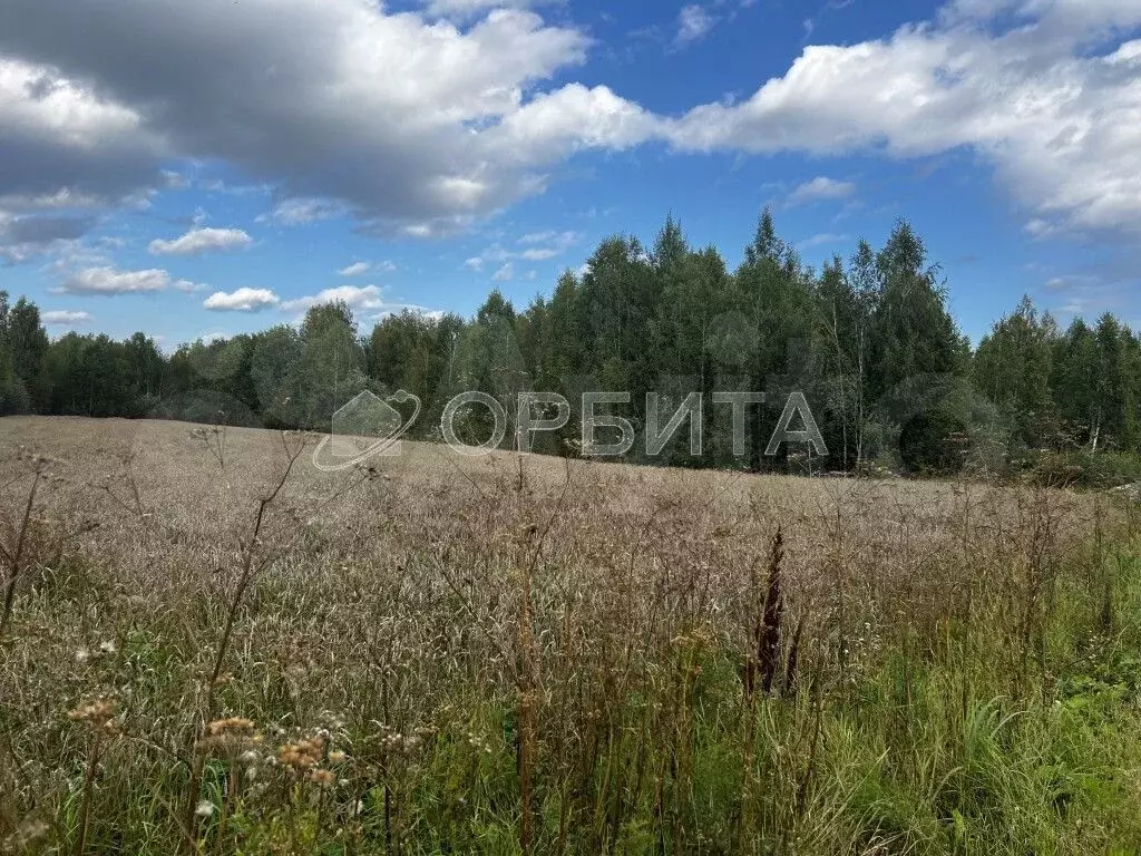 Участок 73,7 сот. (ИЖС) - Фото 1