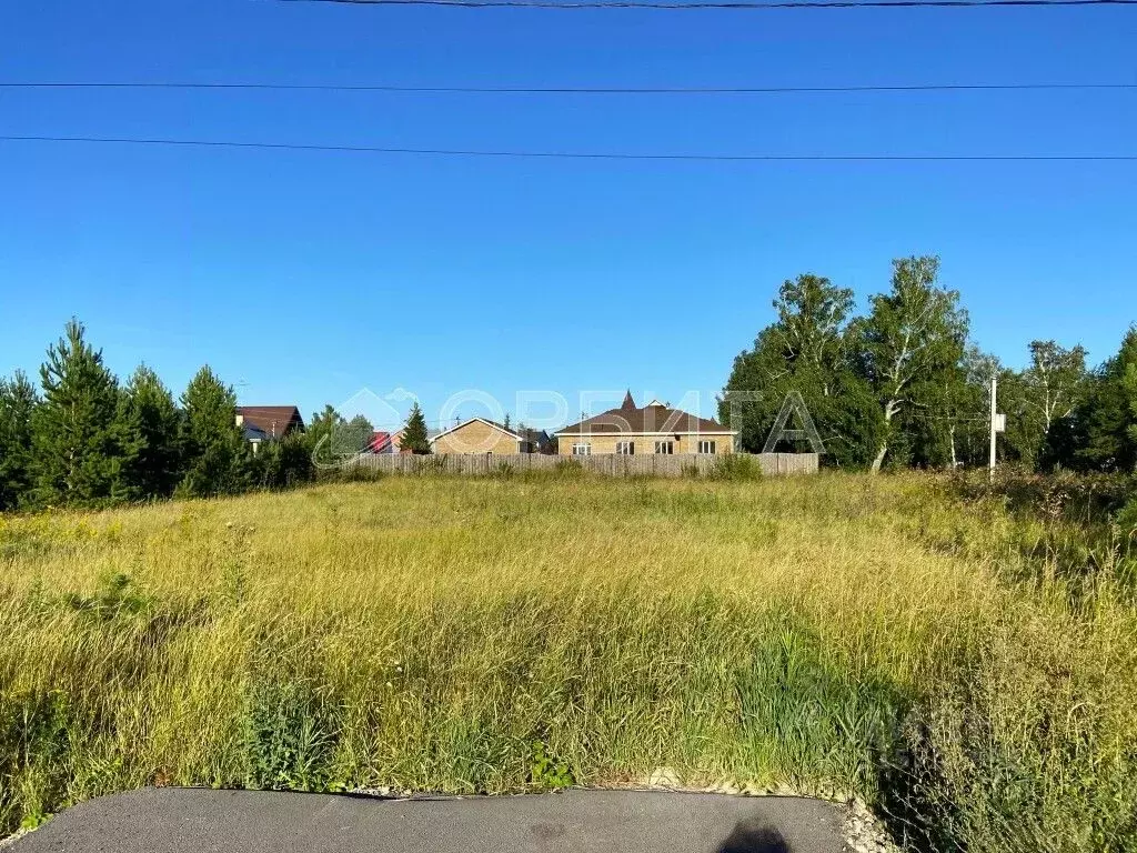 Участок в Тюменская область, Тюменский район, с. Перевалово Советская ... - Фото 1