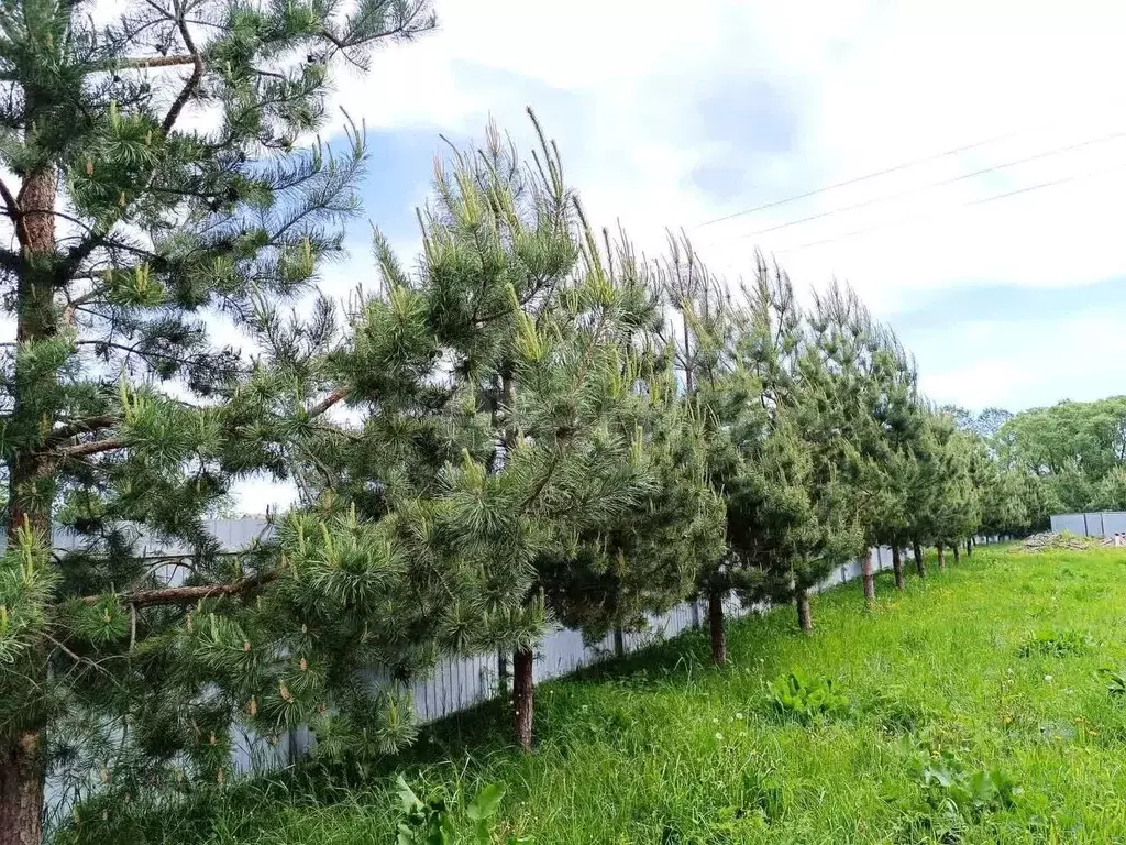 Участок в Владимирская область, Владимир Лунево мкр, ул. Ольховка, 3 ... - Фото 1