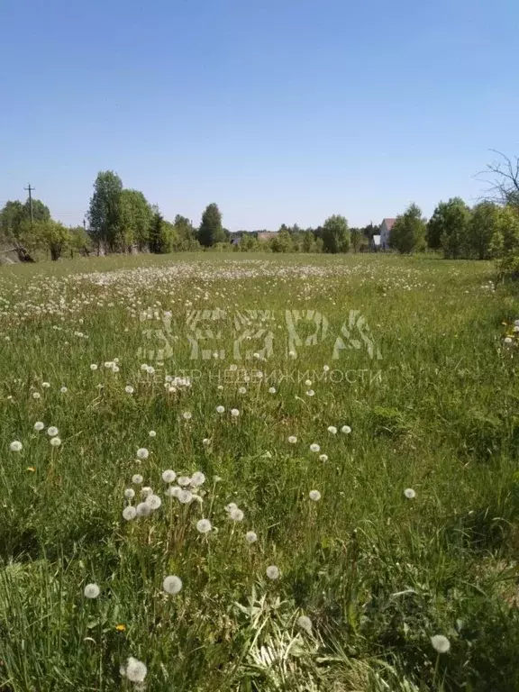 Дом в Владимирская область, Александровский район, Следневское ... - Фото 1