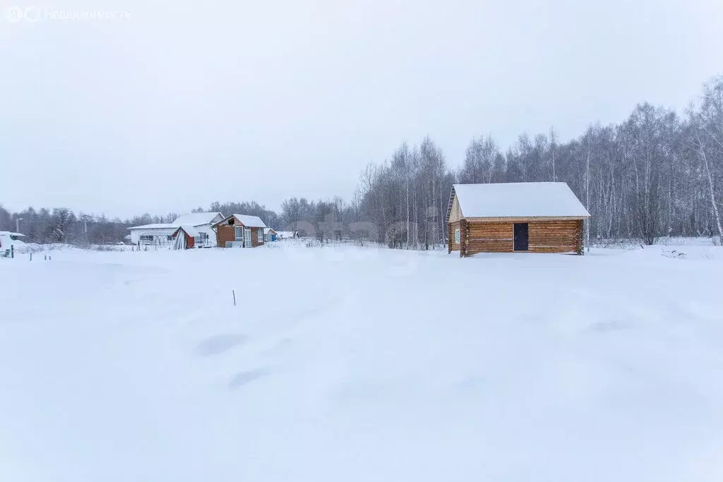 Участок в Тобольск, территория Панин Бугор (8 м) - Фото 2