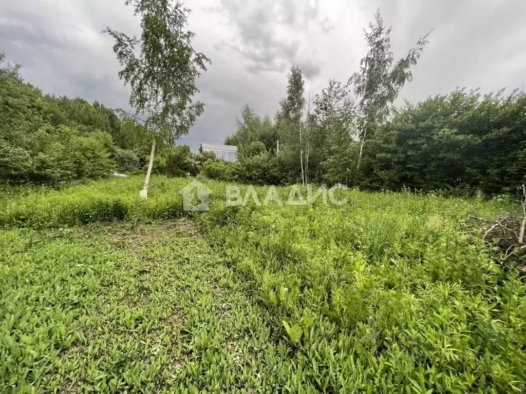 Участок в Владимирская область, Суздальский район, Новоалександровское ... - Фото 0