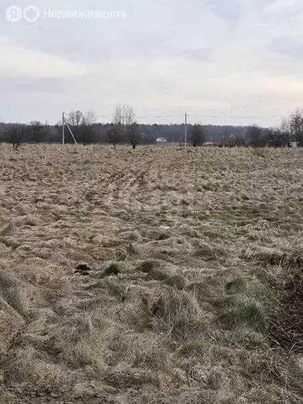 Участок в Калининградская область, Гурьевский муниципальный округ, ... - Фото 0