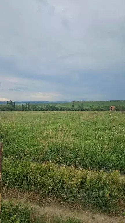 Участок в Ставропольский край, Предгорный муниципальный округ, пос. ... - Фото 2