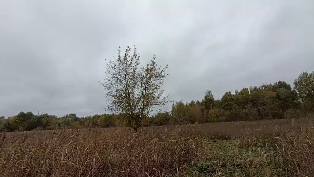 Участок в Московская область, Шатура  (30.0 сот.) - Фото 1