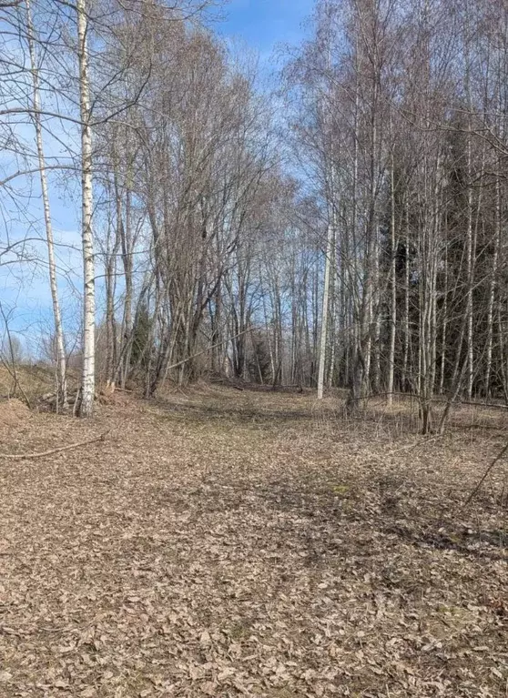 Участок в Новгородская область, Демянский муниципальный округ, д. ... - Фото 2