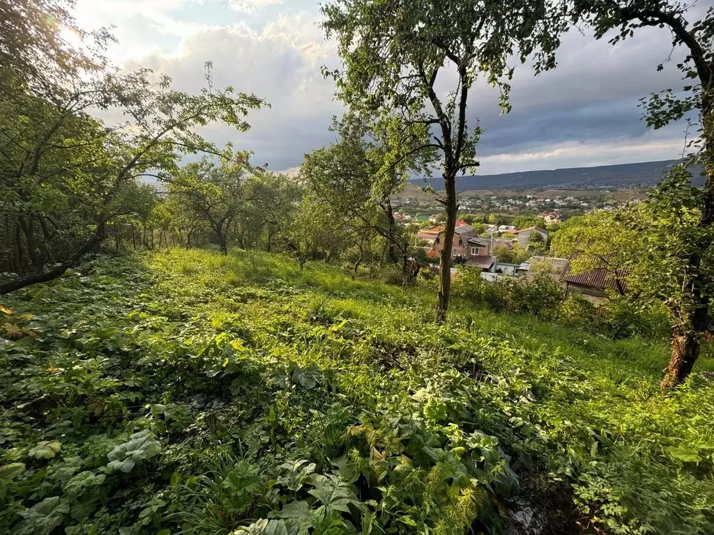 Участок в Ставропольский край, Кисловодск городской округ, пос. ... - Фото 1