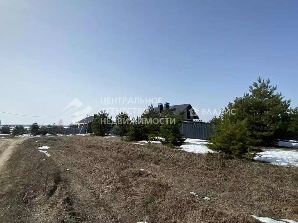 Участок в Рязанская область, Рязанский муниципальный округ, с. ... - Фото 2