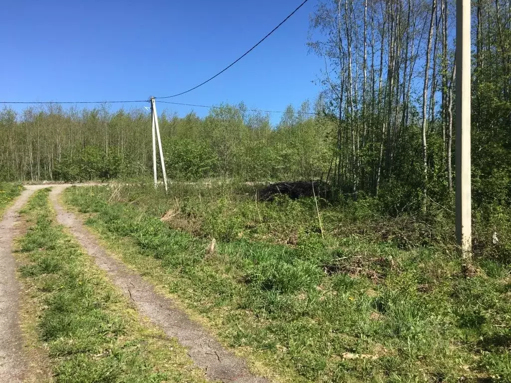 Участок в Ленинградская область, Приозерский район, Кузнечнинское ... - Фото 0