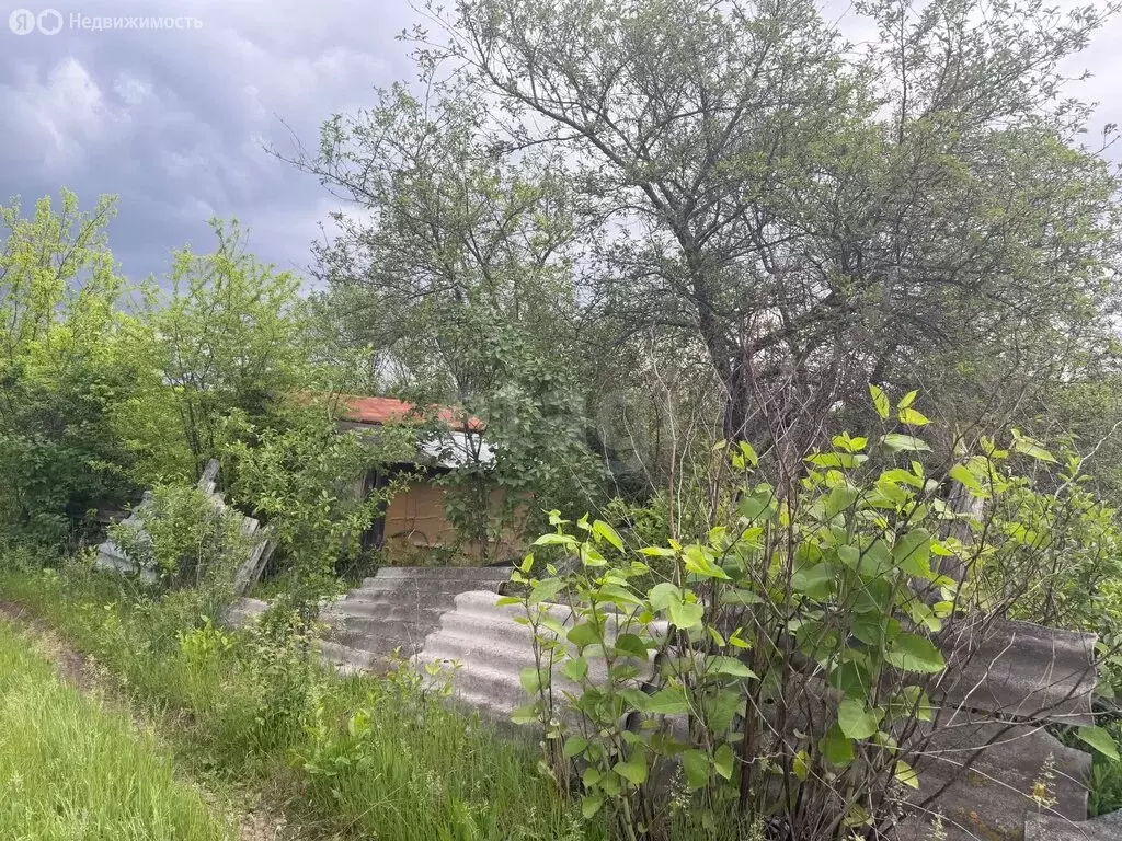 Участок в Белгородская область, Яковлевский муниципальный округ, СНТ ... - Фото 2