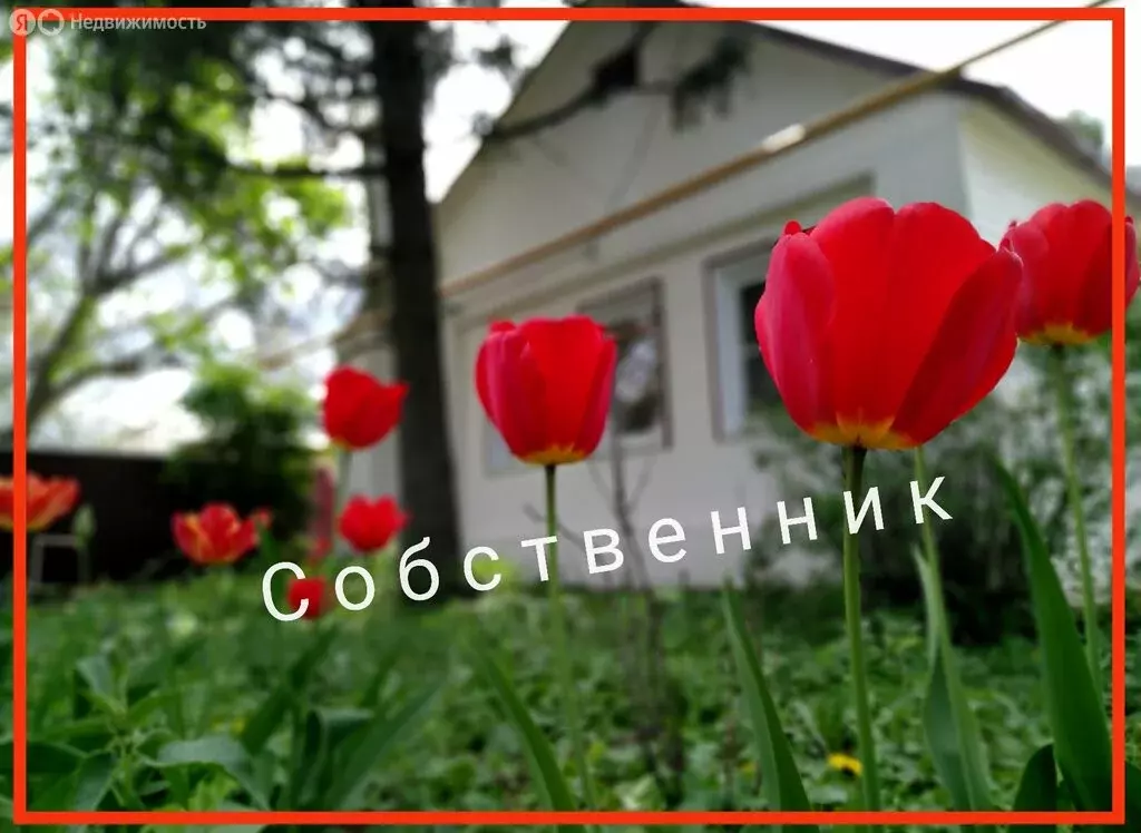 Дом в посёлок Матвеев Курган, Донецкая улица, 10 (70 м) - Фото 0