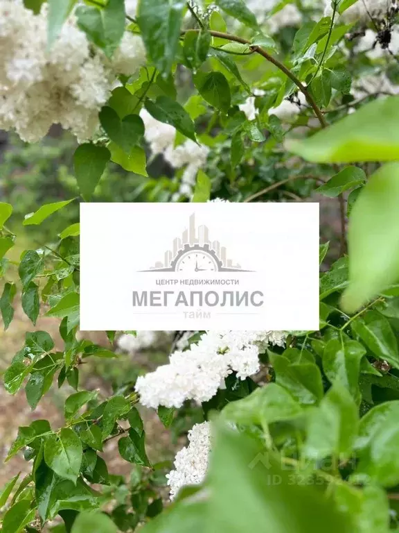 Дом в Астраханская область, Астрахань Кисловодская ул., 1 (23 м) - Фото 2