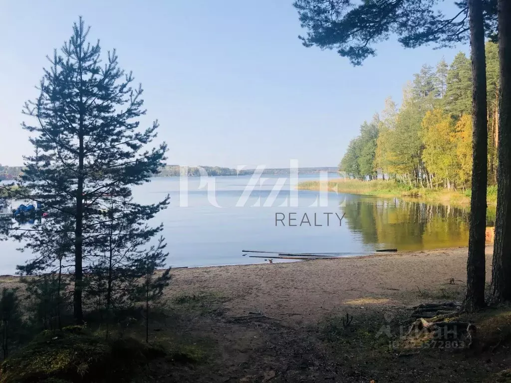 Участок в Ленинградская область, Приозерский район, Петровское с/пос, ... - Фото 2