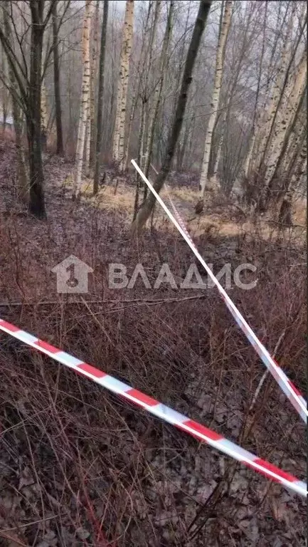 Участок в Ленинградская область, Всеволожский район, д. Юкки аллея ... - Фото 2