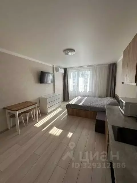 Студия Краснодарский край, Анапа ул. Ленина, 235 (28.0 м) - Фото 2