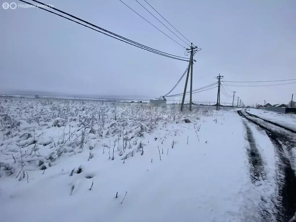 Участок в Лямбирский район, Берсеневское сельское поселение, село ... - Фото 0