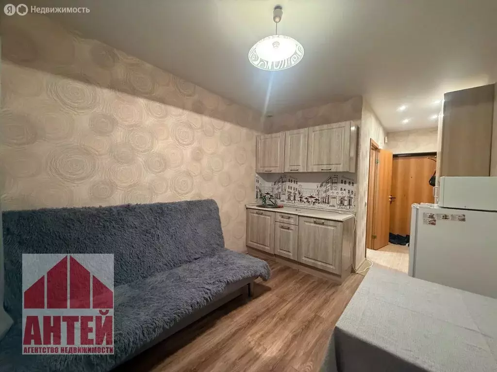 Квартира-студия: деревня Афонино, улица Красная Поляна, 2 (19.1 м) - Фото 2