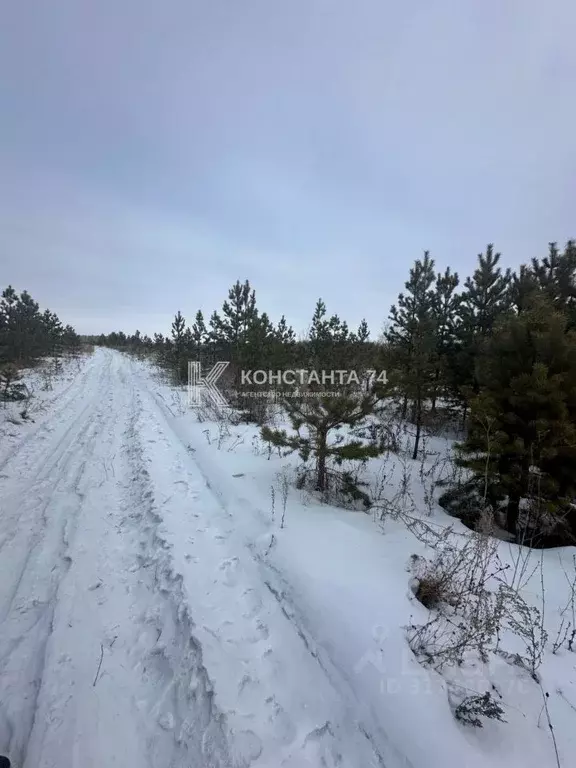 Участок в Челябинская область, Сосновский район, Солнечное с/пос, пос. ... - Фото 1