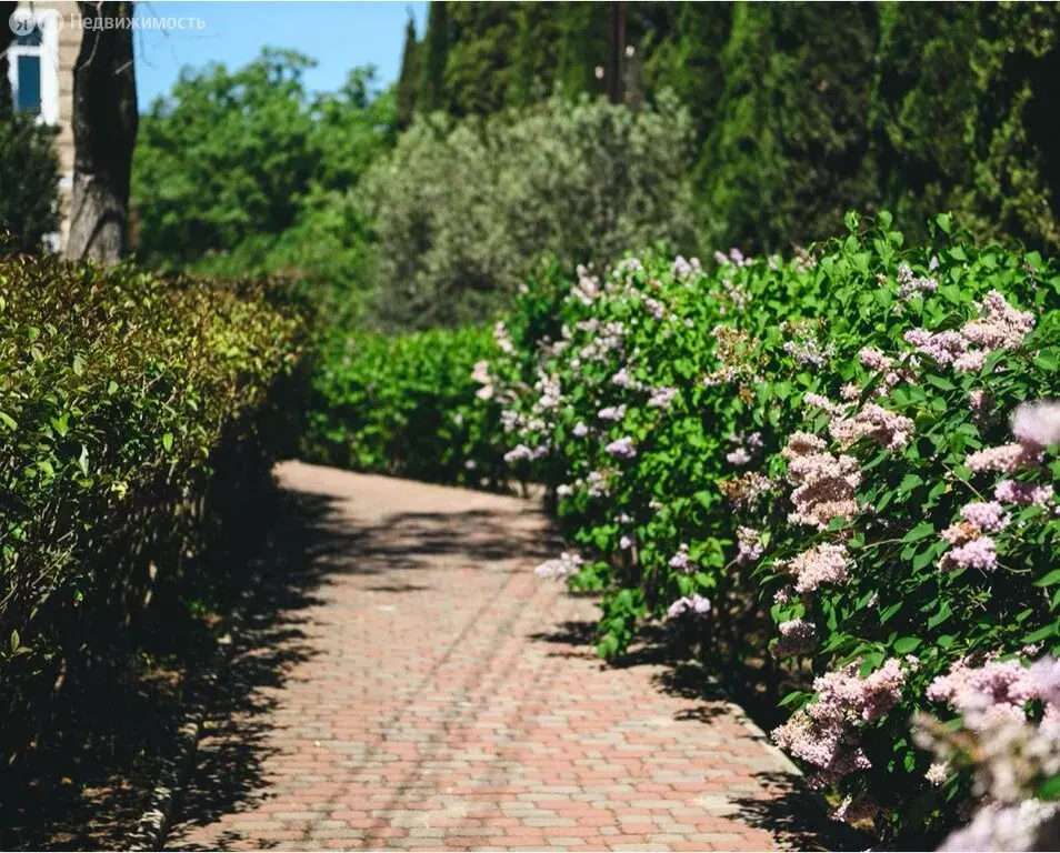 1-комнатная квартира: Алушта, Комсомольская улица, 5 (43 м) - Фото 2