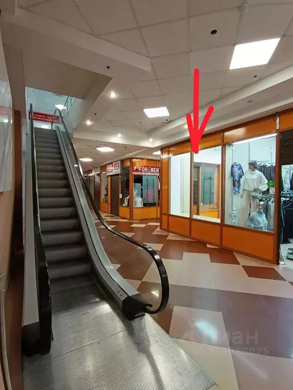 Торговая площадь в Кемеровская область, Кемерово просп. Ленина, 90/1 ... - Фото 2