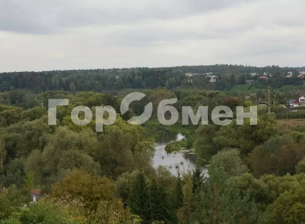 Продается участок в д. Баранцево - Фото 1