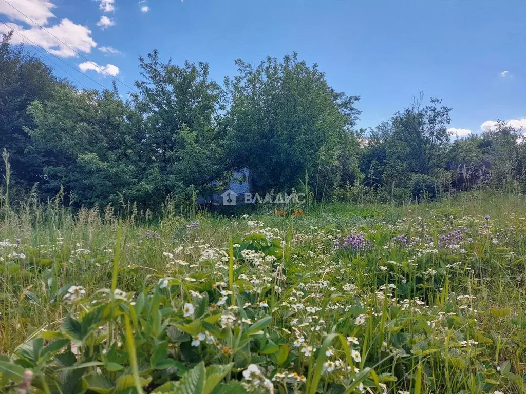 Дом в Пензенская область, Пенза Здоровье СНТ, 27 (20 м) - Фото 0