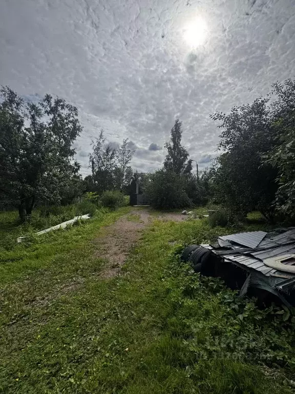Дом в Санкт-Петербург Сергиево тер., ул. Свердлова, 2/1 (42 м) - Фото 2