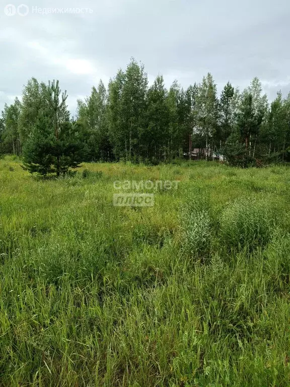 Участок в Владимирская область, Судогодский муниципальный округ, ... - Фото 1