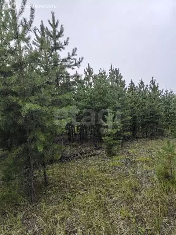 Участок в Улан-Удэ, Перлитовая улица (8 м) - Фото 0