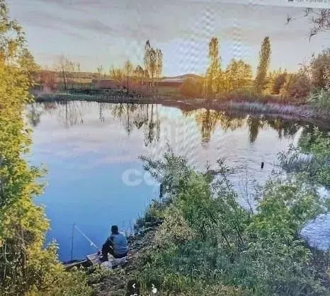 Участок в Воронежская область, Новоусманский район, Усманское 1-е ... - Фото 1