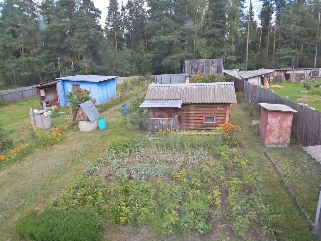 Дом в Владимирская область, Покров городской округ, д. Иваново ул. ... - Фото 1