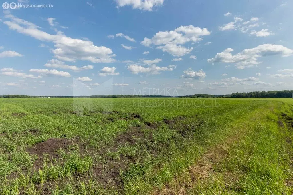 Участок в Тюменский муниципальный округ, КП Новая Горьковка (6 м) - Фото 2